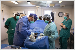 次々と患者が訪れるMSF救急外科病院 ～ハイチ・ポルトープランス市からのレポート～