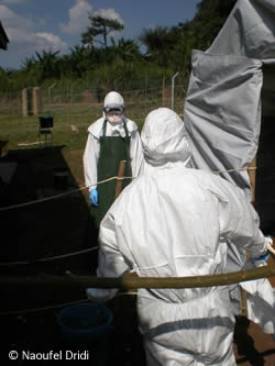 20080826_2.jpg