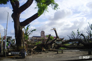 事務所近くの公園。木はなぎ倒され、教会の屋根も吹き飛んだ。