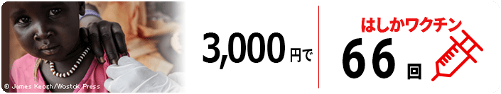3,000円で120人はしかワクチン
