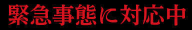 緊急事態に対応中