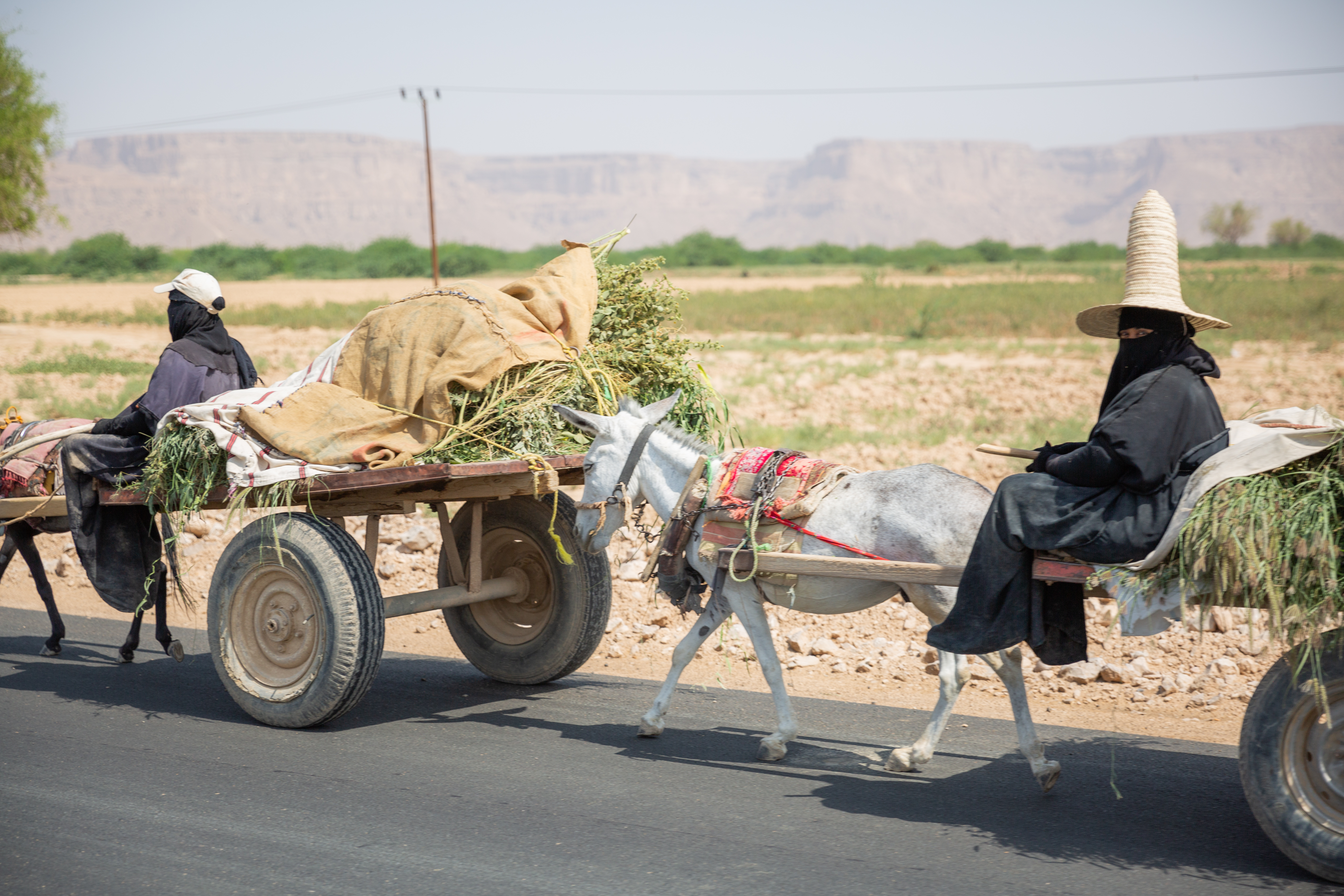 © Yuichi Mori Photography<br> A0/A1/A3 計18点、L版計約150点の作品を展示予定です