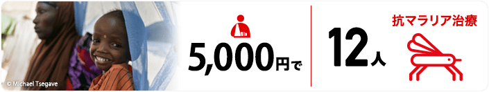 5,000円で12人抗マラリア治療