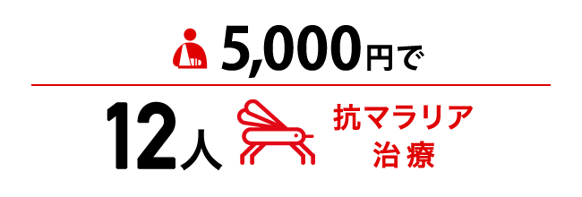 5,000円で12人抗マラリア治療