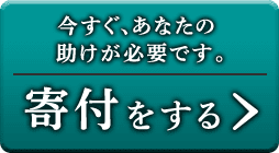 今すぐ、あなたの 助けが必要です。寄付をする