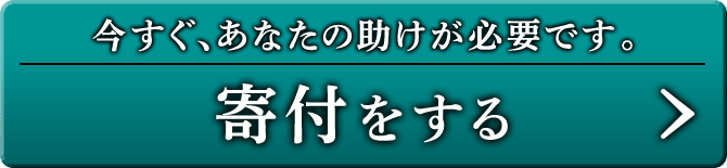 今すぐ、あなたの 助けが必要です。寄付をする