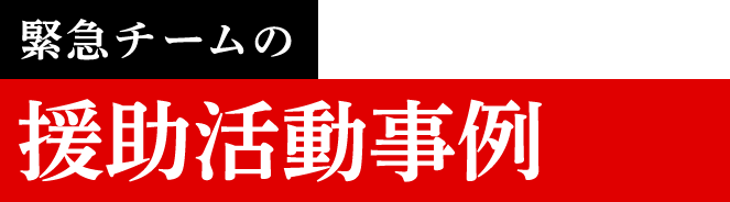 緊急チーム活動事例