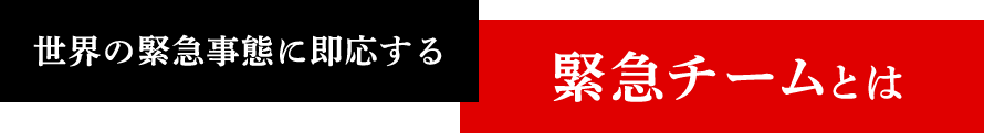 世界の緊急事態に即応する緊急チームとは
