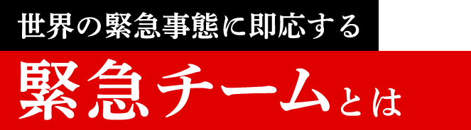 世界の緊急事態に即応する緊急チームとは