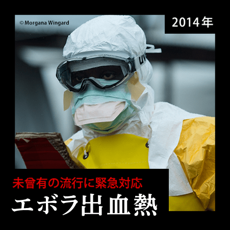 2014年 未曾有の流行に緊急対応 エボラ出血熱