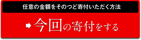 任意の金額をそのつど寄付いただく方法　今回の寄付をする