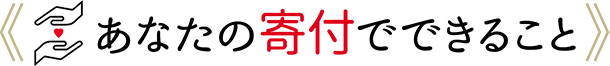 あなたの寄付でできること