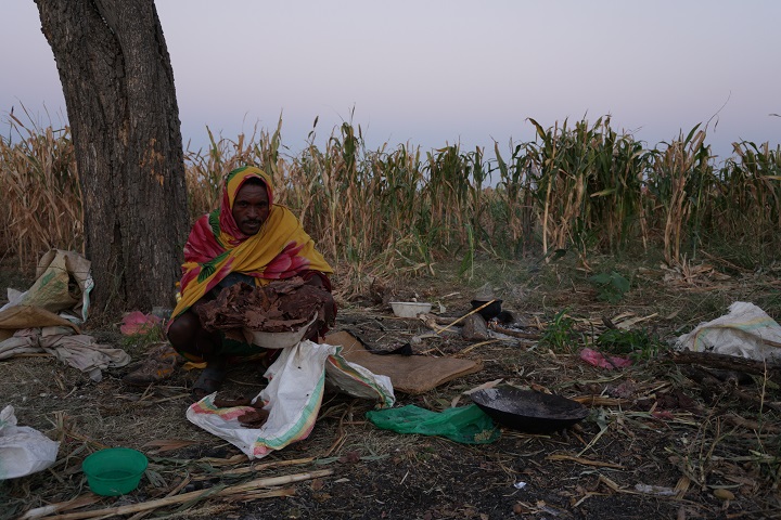 農場へ出稼ぎにきた労働者　多くは貧しい人びと　© Susanne Doettling/MSF