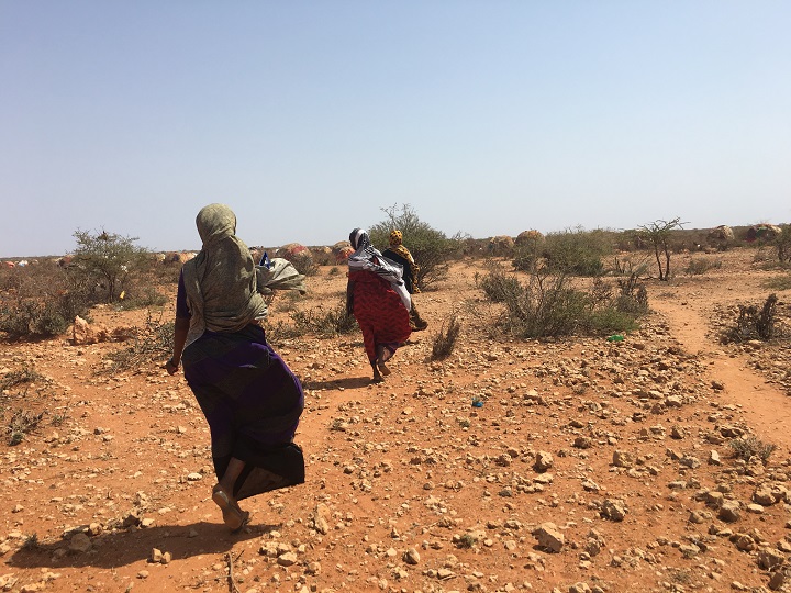 深刻な干ばつに見舞われたエチオピアでは、栄養失調が深刻に　© Carmen Rosa/MSF