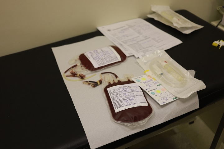 輸血用の血液 © May AbdelSater/MSF