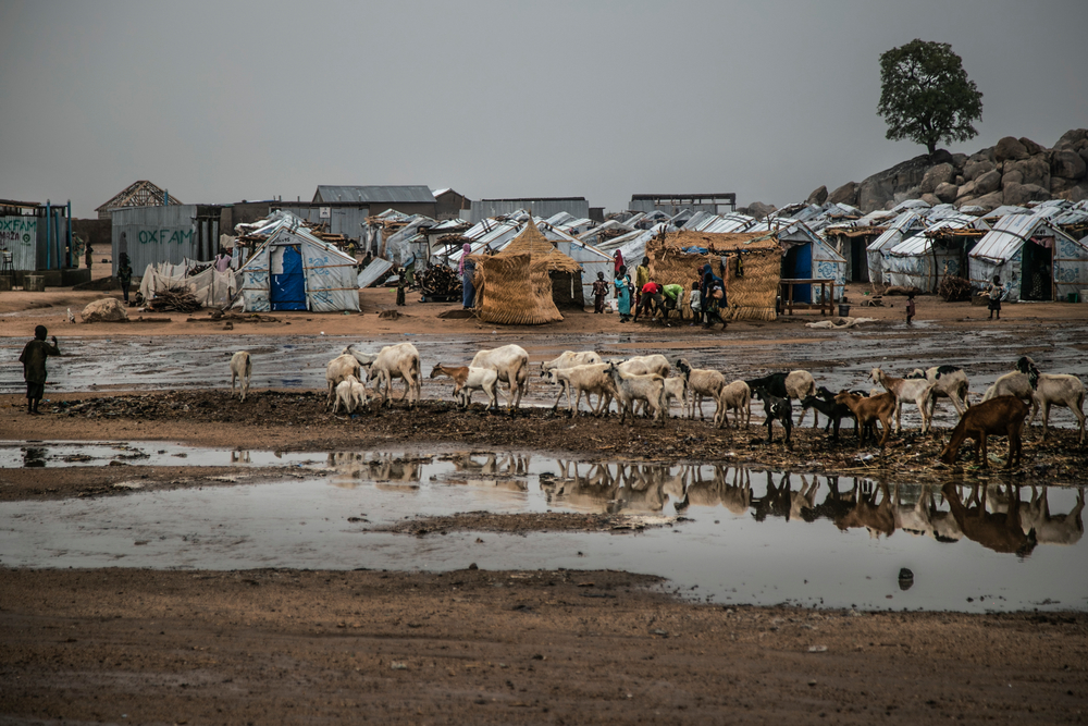 避難民キャンプを横切るヤギ＝2018年、プルカ　©Igor Barbero/MSF