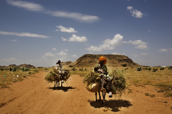 タウィラ近辺にて、わらを運ぶロバ=2010年 © Juan Carlos Tomasi/MSF