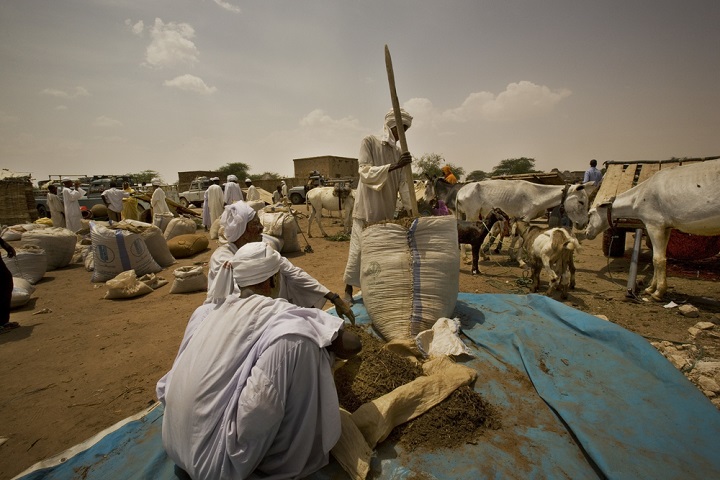 タウィラの名産品であるかみ煙草を袋詰めしている人びと=2010年 © Juan Carlos Tomasi/MSF