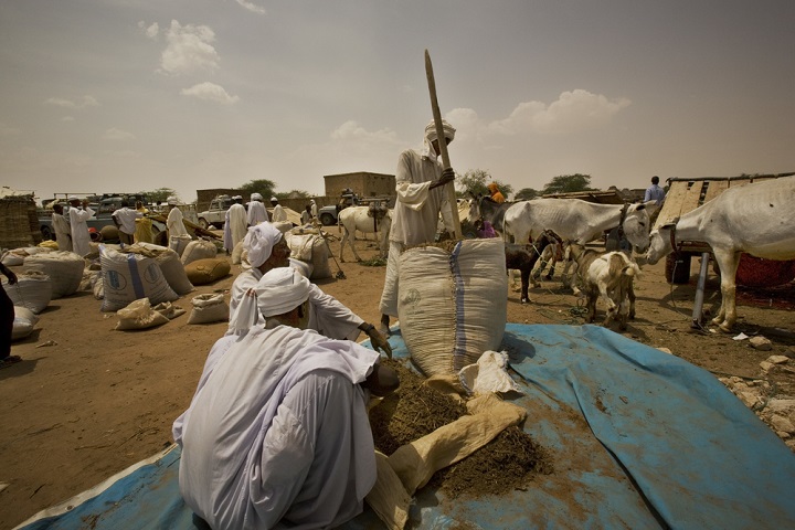 タウィラの名産品であるかみ煙草を袋詰めしている人びと＝2010年　© Juan Carlos Tomasi/MSF