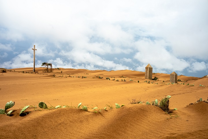 貴重な食料であるサボテンも砂に埋もれてしまった　© Ainga Razafy/MSF