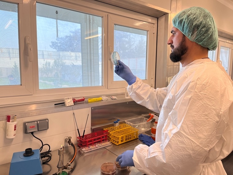 クンドゥーズ外傷センターの微生物検査室でAMRの検査を行うMSFの検査技師　© Tasal Khogyani/MSF