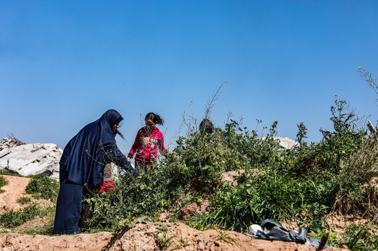 2025年3月11日　© Nour Alsaqqa/MSF