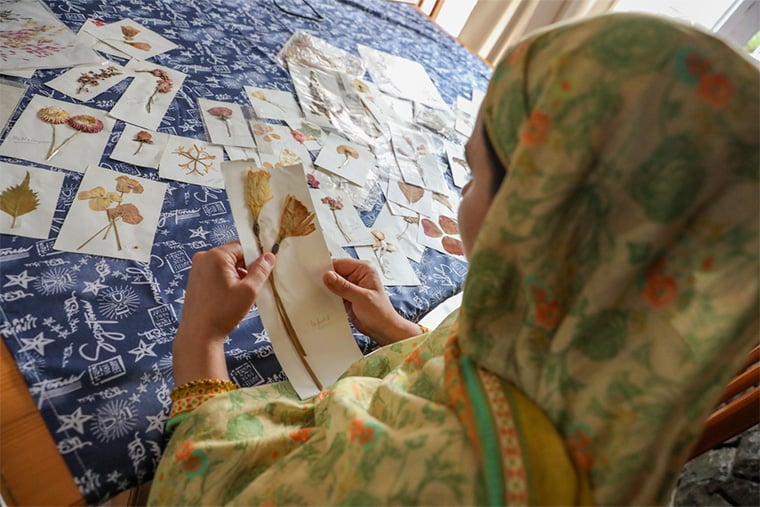 インド／カシミール地方： MSFで心のケアを担うナディア・イシュファク・ナフビは、コラージュ作品のために花を集めて保存している。美しさを大切にし、残すことへのこだわりは、彼女の患者への向き合い方にも重なる。他の人が見過ごすかもしれないものに価値を見いだし、すでにあるものを守り、さらに強めていこうとする姿勢だ＝2025年5月　© Deepak Bhatia/MSF