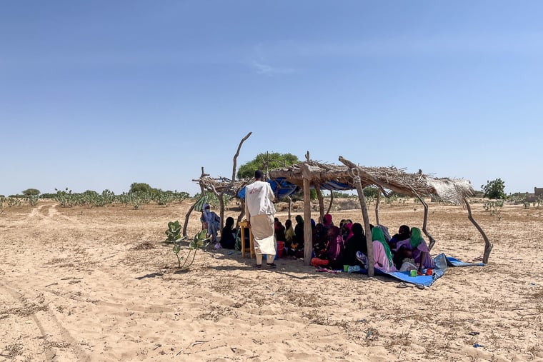 チャド西部のブラ・クーカ村。木と布で作られた簡易避難所の下で栄養状態の検査を待つ女性と子どもたち＝2025年11月5日　© Léa Gillabert/MSF