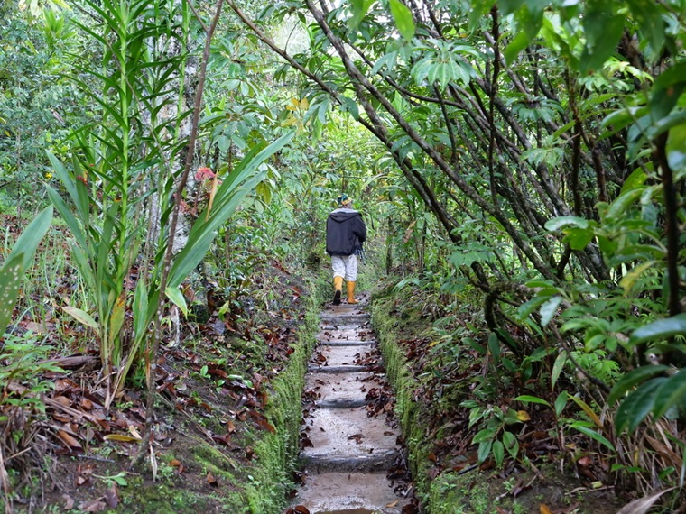 ジワカ州の山岳地帯を貫く小道。必要なサービスを利用するには、住民は草木が生い茂ったこのような道を通らなければならない＝2025年11月16日　© MSF