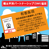 事前異議申し立ての禁止