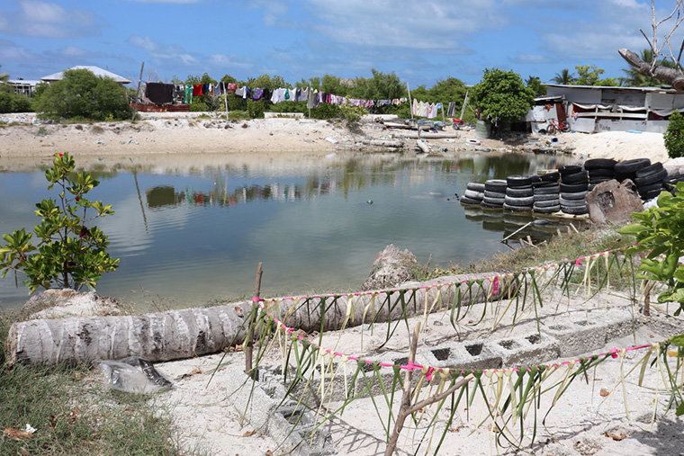 清潔な水も不足している。タラワでは井戸水は枯渇している上、海水や排泄物、家畜の飼育などで汚染されている　Ⓒ MSF/Joanne Lillie