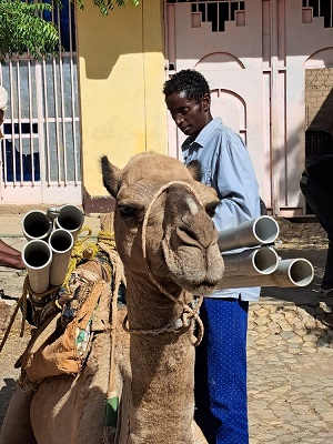 ポンプの修理資材をラクダに乗せるアディサレムさん　© Gabriella Bianchi/MSF 