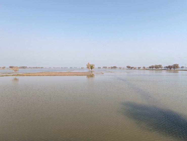 ダードゥでの洪水の様子=2023年2月撮影 © MSF