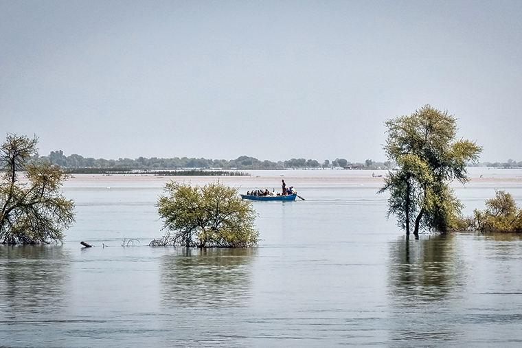 洪水によって水没した村＝パキスタン南部シンド州、2022年9月7日　©  MSF