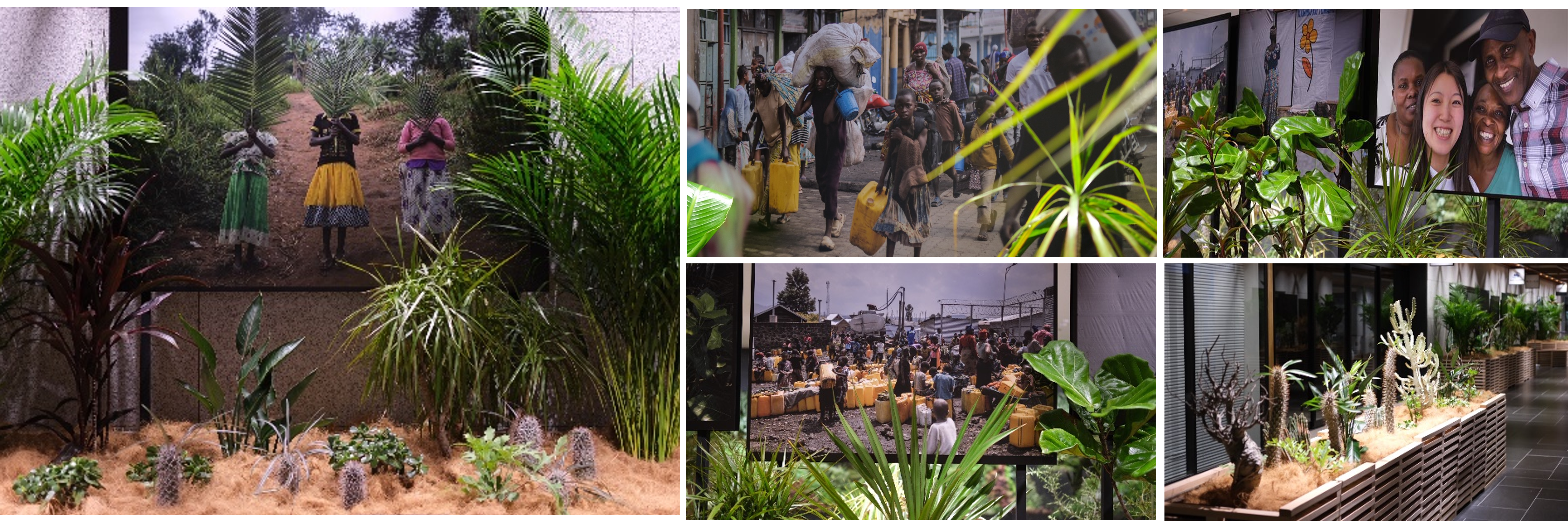 全29種、194鉢のアフリカ熱帯植物と、計78点のパネルを組み合わせた迫力の展示