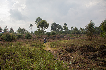 たきぎや食料の収穫をする女性＝北キブ州カニャルチニャ、2023年8月　Ⓒ Alexandre Marcou/MSF