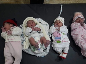 モスルの病院で誕生した赤ちゃんたち=2019年1月<br> © MSF
