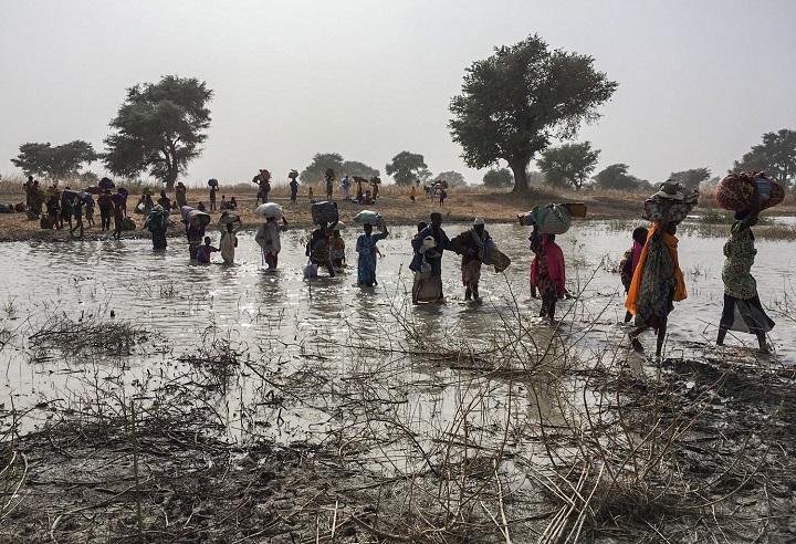 カメルーンに避難する人びと（2019年1月15日撮影）© MSF