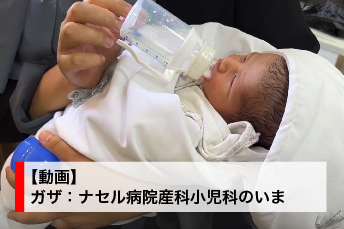 （7月31日公開）