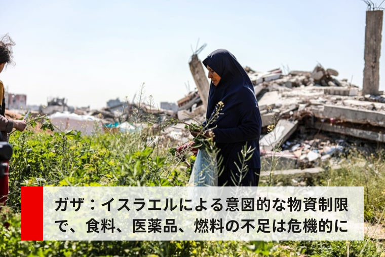 （2025年06月20日公開）